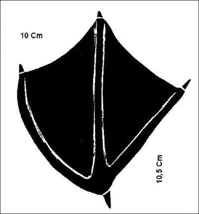 A quel oiseau, symbole d'un groupe de rock fameux, appartiennent ces empreintes ?