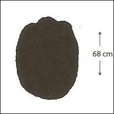 A quel animal trompeur appartiennent ces empreintes ?