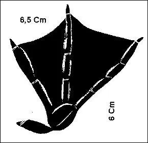 A quel oiseau friand de fausses notes appartiennent ces empreintes ?