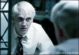 Dans le 6e Tome, pourquoi n'aime-t-il plus Severus Rogue ?