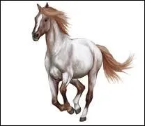 Quelle est la robe ?