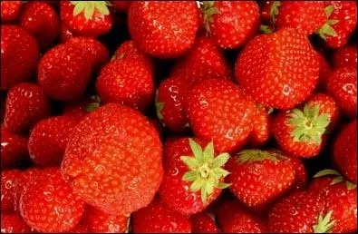 O se situent les aknes (petits grains secs) de la fraise ?