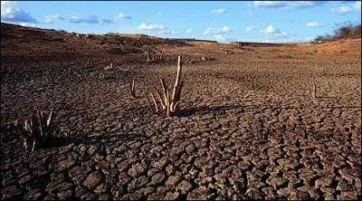 Au Brsil, dans la rgion dsertique de Sertao, comment les enfants se rendent-ils  l'cole ?