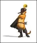 Comment s'appelle ce chat ?