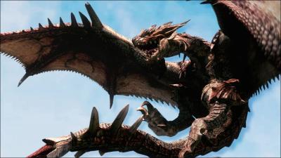 Comment se nomme ce dragon de Monster Hunter 3 ?