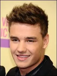 Quel tait le numro de Liam Payne  X Factor ?