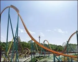 Il existe plusieurs coasters portant le nom de  Goliath .