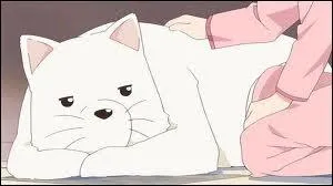 Comment s'appel ce chien ?