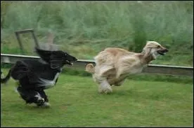 Laquelle est la plus gentille avec les enfants ?