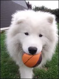 Laquelle est la plus chre ?