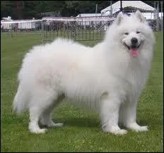 Laquelle est la plus propre ?