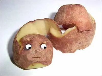  Le cercle littraire des amateurs d'pluchures de patates  est un roman qui a t crit par :