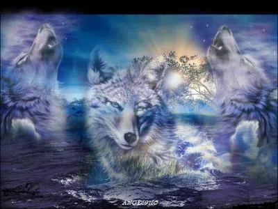 Dcouvrez ce groupe pluriculturel franais, dont les mlodies ont conquis le monde !