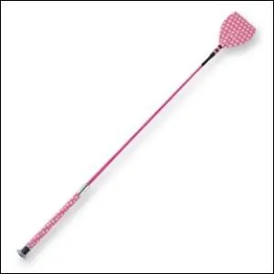 Comment cela s'appelle-t-il ?