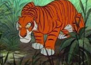 Quiz Autour du tigre