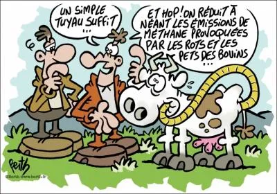 Quel est le pourcentage des gaz  effets de serre mis par les vaches en France (ruptions et flatulences) ?