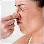  quel gaz l'odeur caractristique  d'oeuf pourri  est-elle lie principalement pour certains pets ?