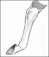 Quelle est cette marque ?