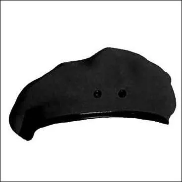 Rvolutionnaire marxiste internationaliste et homme politique d'Amrique latine, j'ai nomm :