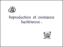 Est-il vrai qu'une bactrie doit infecter une cellule pour pouvoir se multiplier ?