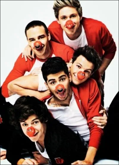 Pour quelle association ont-ils sorti la chanson  One Way Or Another  ?