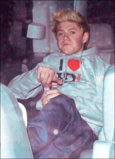 Qui est (sont) l'(les)idole(s) de Niall ?