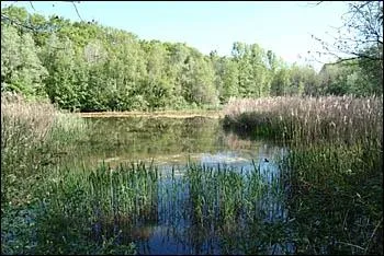 Quelle lettre faut-il mettre devant  ouille  pour crire le mot qui, en Suisse ou en Savoie, dsigne une flaque d'eau, une mare ou un petit tang ?