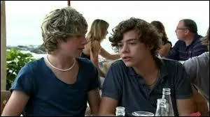 Niall et Harry ont un autre compte Twitter afin de pouvoir discuter avec leurs fans et changent rgulirement leurs noms