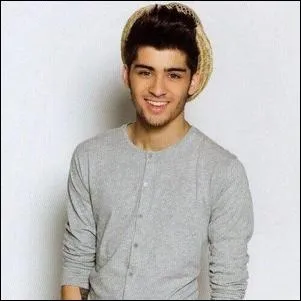 Zayn ne sait pas nager