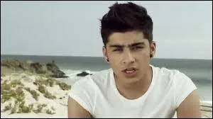 Zayn est en couple avec l'une des chanteuses du groupe  Pussycat Dolls 