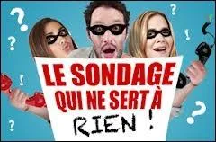  quoi sert Le sondage qui ne sert  rien ? ( Plusieurs rponses possibles )