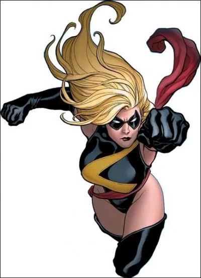 De quelle quipe Warbird a t-elle t membre ?