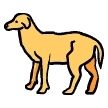Quiz Animaux