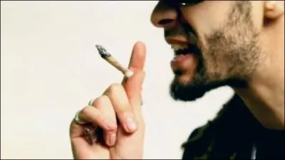 Dans la chanson de Tairo  Bonne Weed ,  quel fruit compare-t-il sa marchandise ?