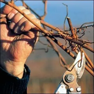 C'est le nom d'un ancien impt franais. C'est aussi un synonyme de stature ou d'lagage. Pour crire ce mot correctement, avant  aille  il faut un...