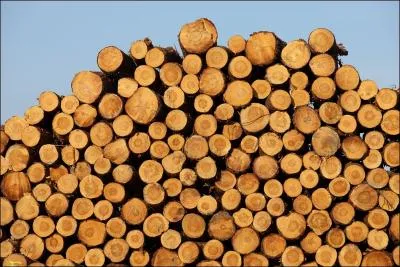 Quel pourcentage de ces flux reprsentent les matires premires ?