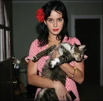 Cette chanteuse a trois chats, voici l'un d'entre eux, une vraie boule de fourrure. Qui est-elle ?