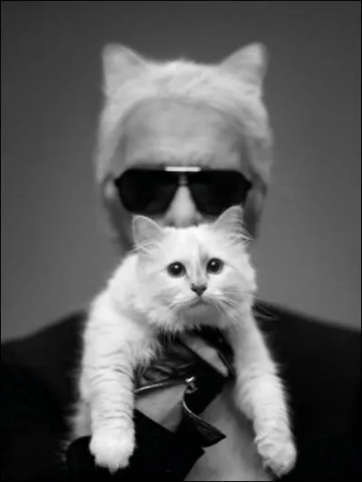 Voici la mignonne et gâtée Choupette, et son maître qui s'est fait des oreilles de chat pour l'occasion, qui est ?