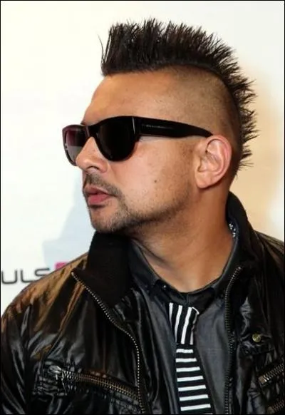 Quel est ce chanteur ?