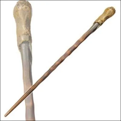 Ceci est la baguette de :