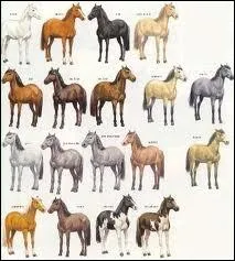 Laquelle de ces robes ne fait pas partie des robes simples ?