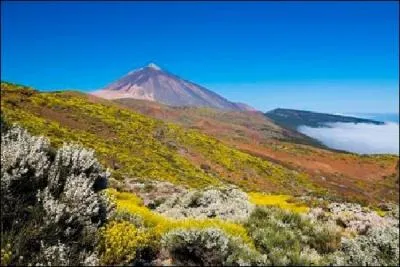 La superficie de l'le de Tnrife est-elle plus ou moins grande que celle de l'le de Madre ?
