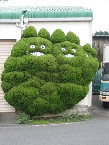 Le propritaire factieux de cette haie doit tre sans doute un amateur du livre... ?