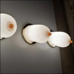 Euh, tous les gots sont dans la nature ! Si on ne les place pas, ces lampes, dans un night club, on les mettra peut-tre... ?