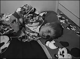 Quel est le nom de sa tourne (2012-2013) ?