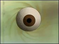 Quel est le nom japonais du Troisi�me Oeil ?