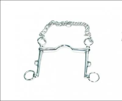 Comment s'appelle ce mors ?