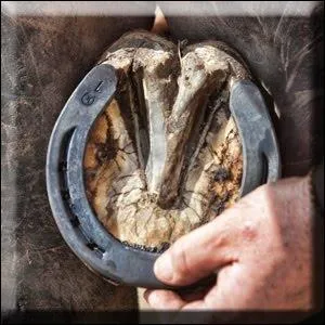 Si ton poney a des fers on parle de la ?