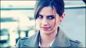 Comment s'appelle l'actrice qui joue Kate Beckett ?