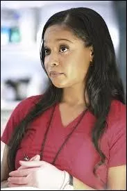 Comment s'appelle l'actrice qui joue Lanie Parish ?